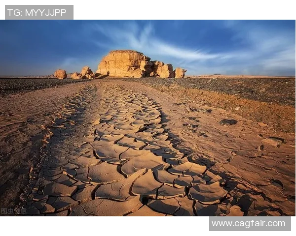 天地间的命运交织与选择之道探秘